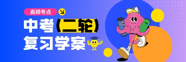 【高频考点】2025中考二轮复习学案