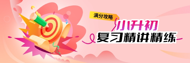 【满分攻略】小升初复习精讲精练